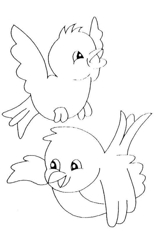 dessin oiseau canari