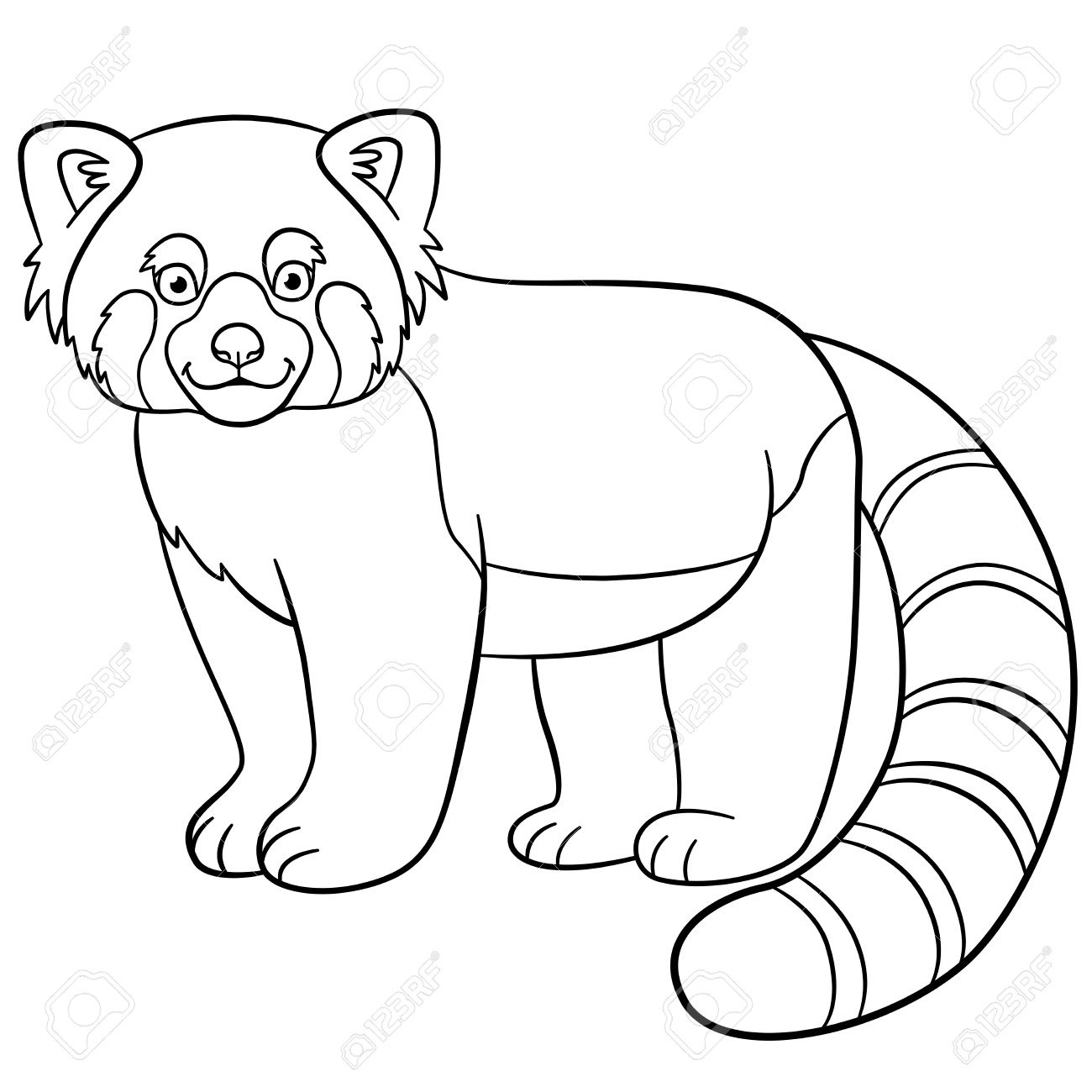 panda roux dessin pour coloriage panda roux