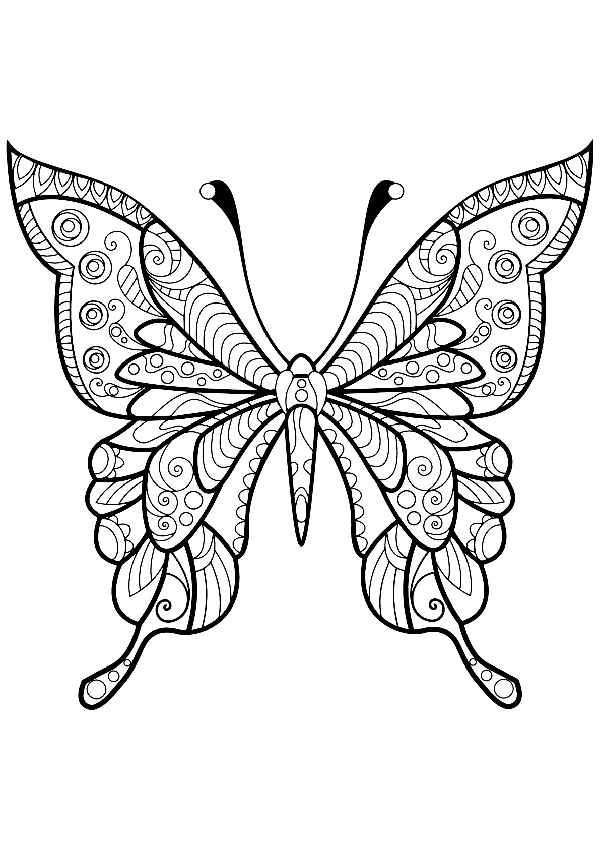 image=papillons coloriage papillon motifs 4 1