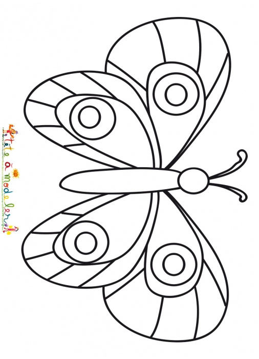 un papillon facile a colorier