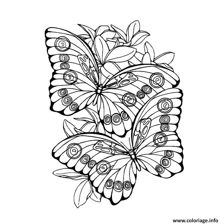 papillon isabelle coloriage