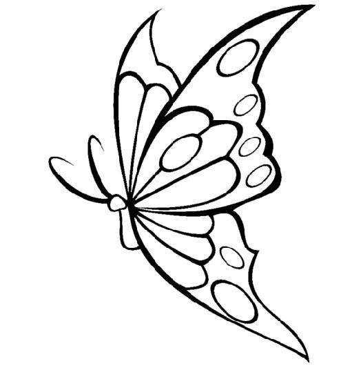 tag dessins de papillons