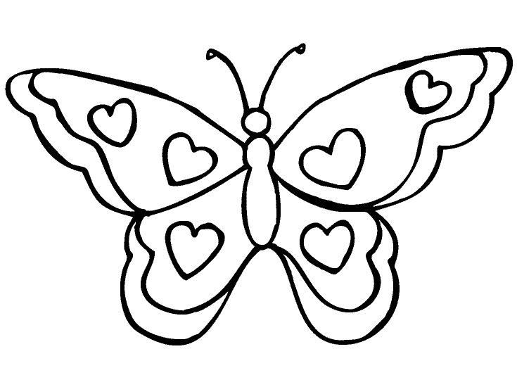 dessin simple papillon