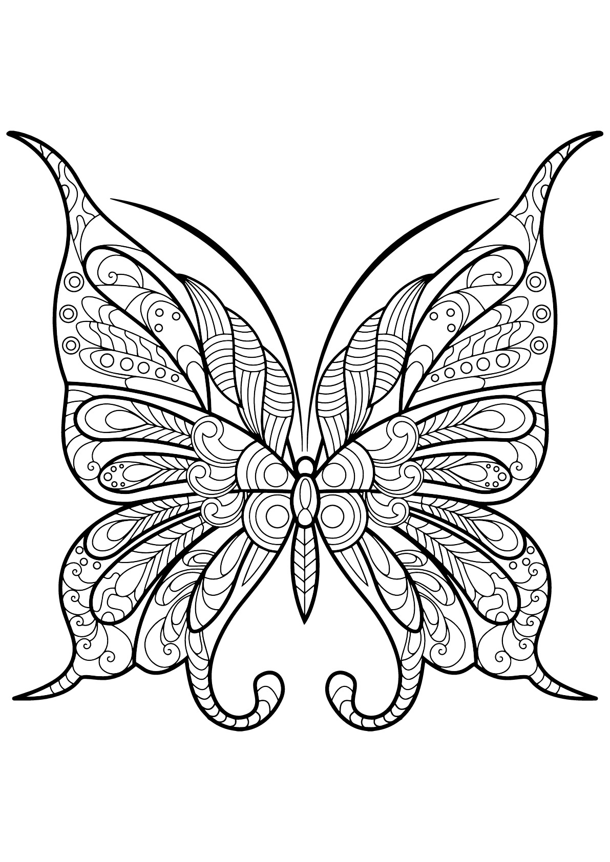 image=insectes coloriage papillon jolis motifs 9 1