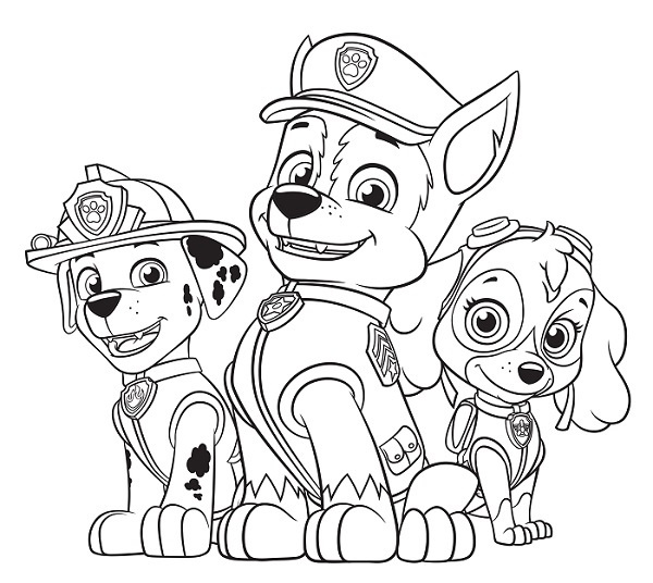 coloriage dessins pat patrouille paw patrol