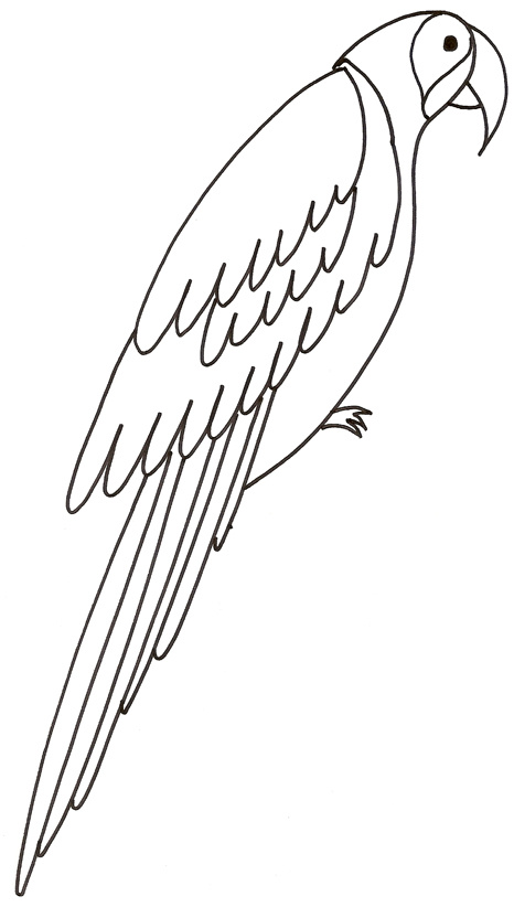 dessin d oiseau a imprimer