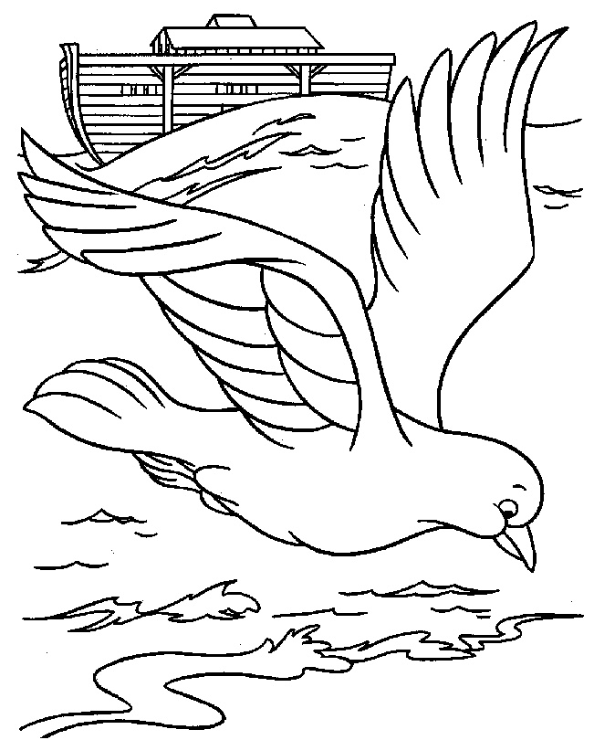 dessin a colorier pigeon voyageur