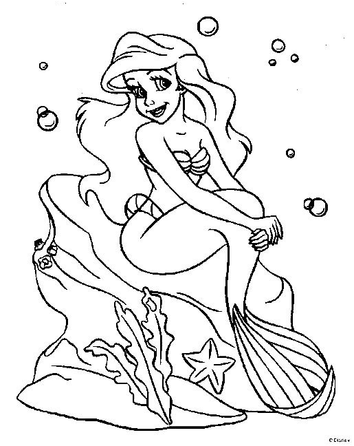 princesse ariel sur un rocher dans la mer 3147