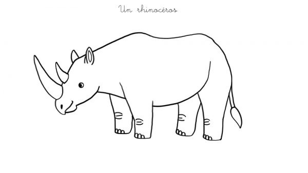 coloriage a imprimer un rhinoceros