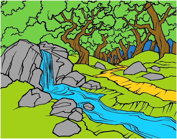 paysage de foraet avec une riviere colorie par