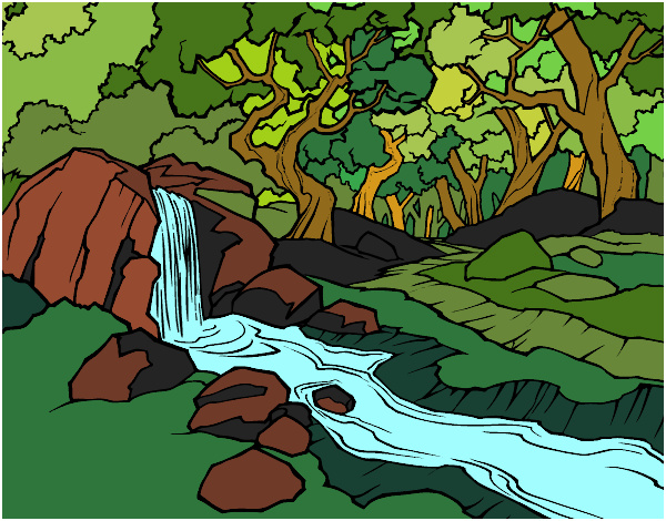 paysage de foraet avec une riviere colorie par kake2