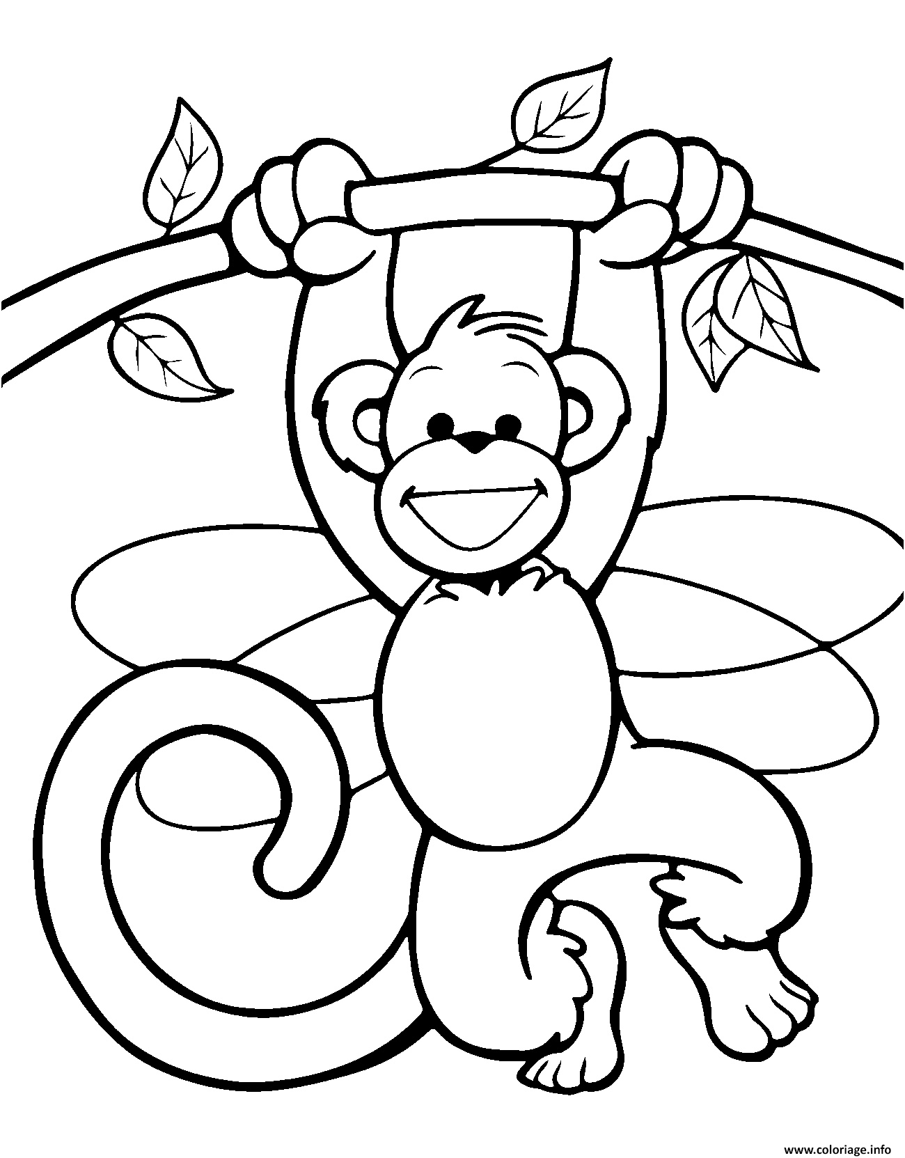 singe sur un arbre rigolo coloriage dessin