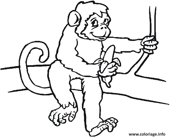 un singe assis sur une branche avec sa banane coloriage dessin