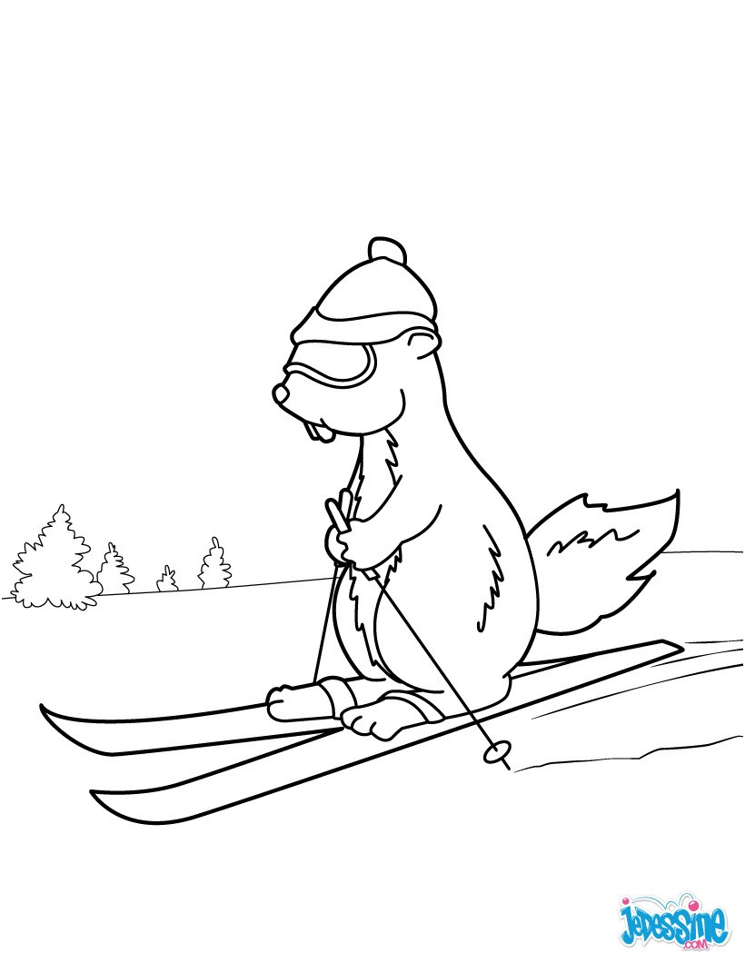 marmotte a ski