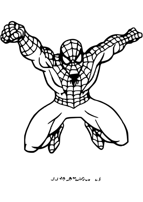 coloriage spiderman page