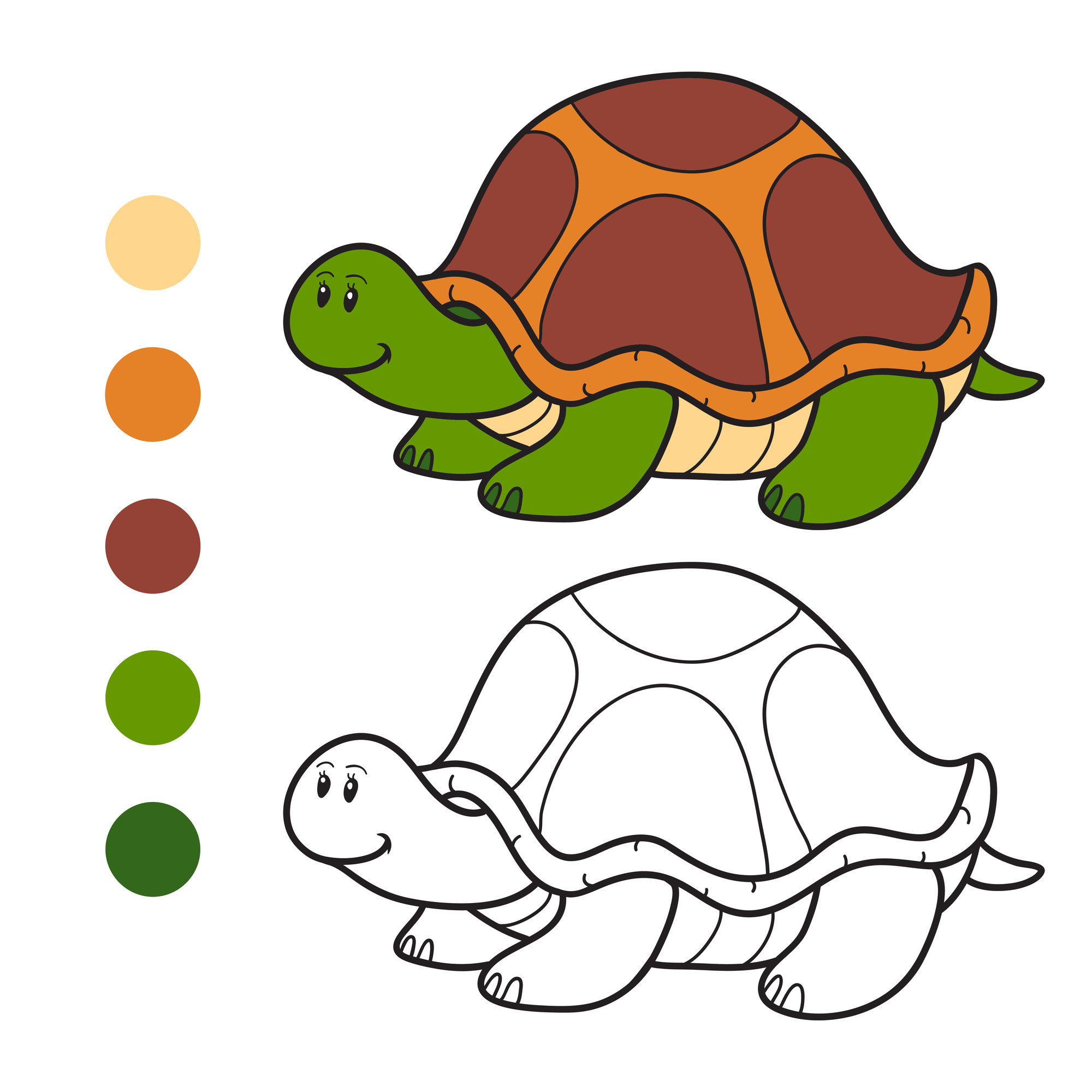 coloriage a imprimer une tortue 4594