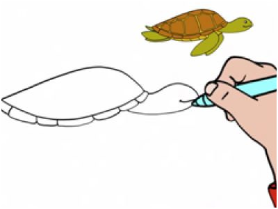 apprendre a dessiner une tortue de mer