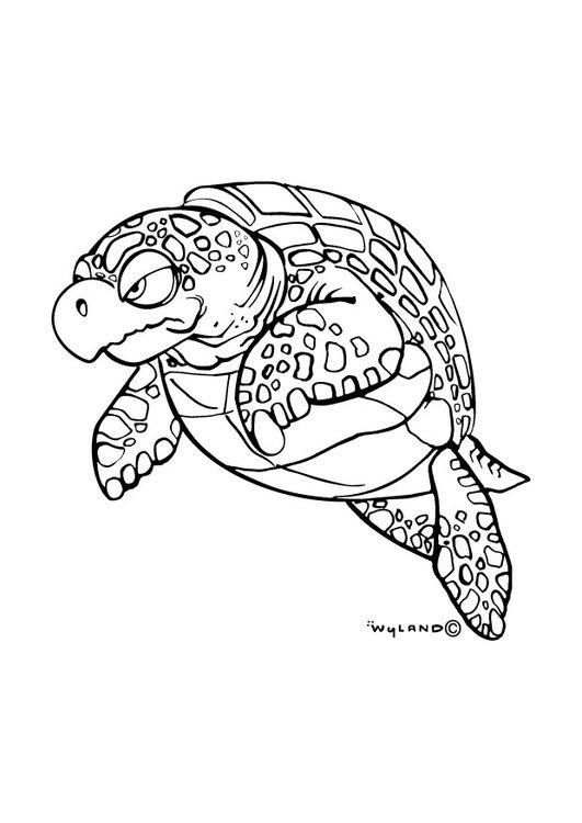 coloriage tortue de mer i9016