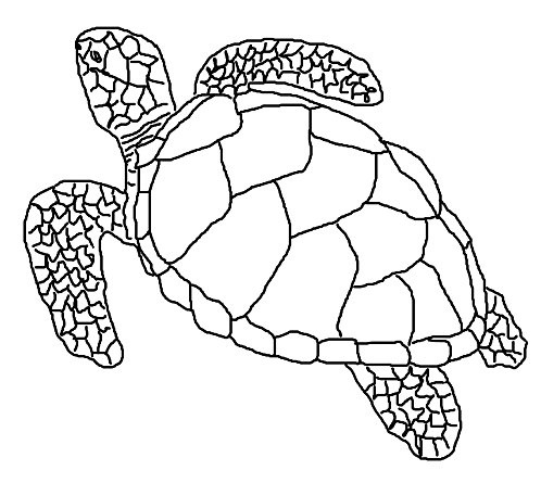 coloriage d une tortue de mer