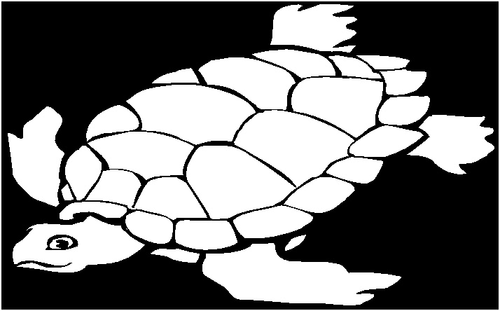coloriage a dessiner a imprimer tortue de mer