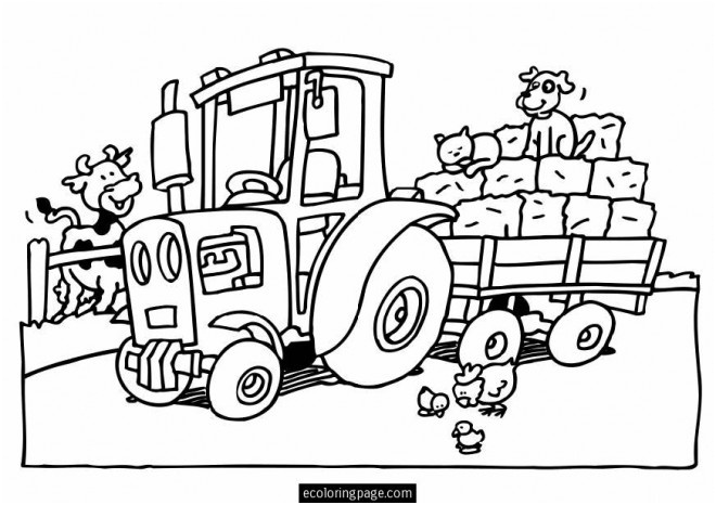 tracteur et animaux de ferme