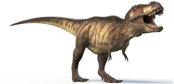 trexdinosaure