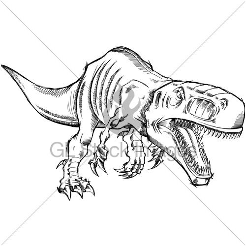sketch tyrannosaurus rex dinosaur t rex vector