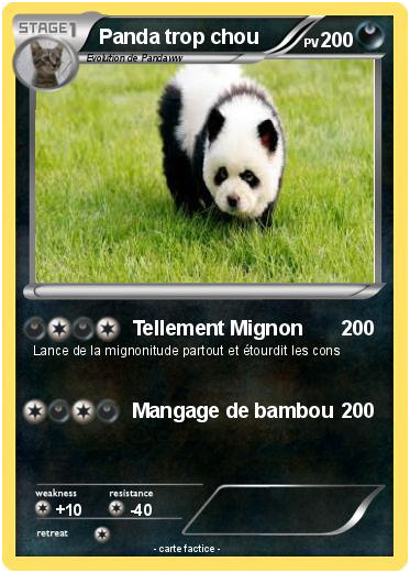 Pokemon Panda trop chou 1