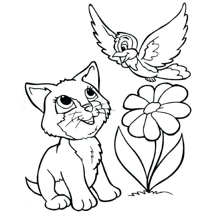 7947 chat trop mignon coloriage chats gratuit a imprimer dessin 7172 coloriage de chat trop mignon
