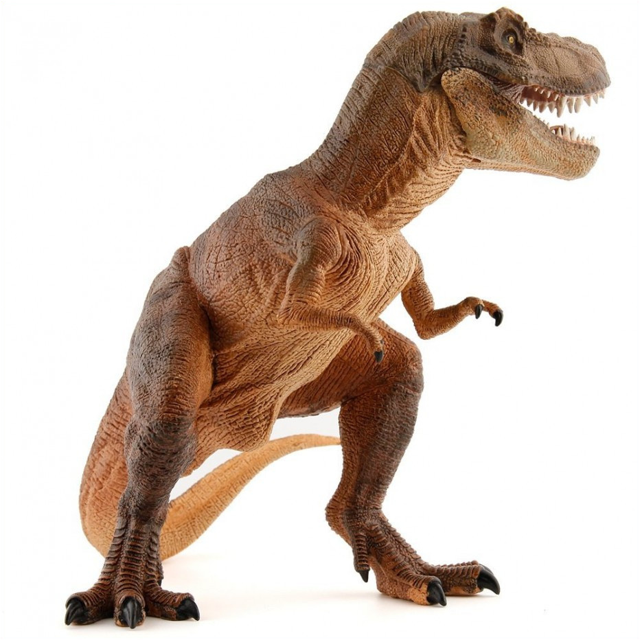 coloriage tyrannosaure rex imprimer coquet t rex dinosaure r de jeux