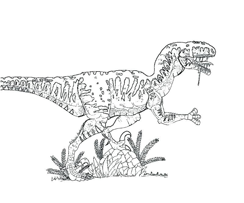 jurassic world raptor coloring pages