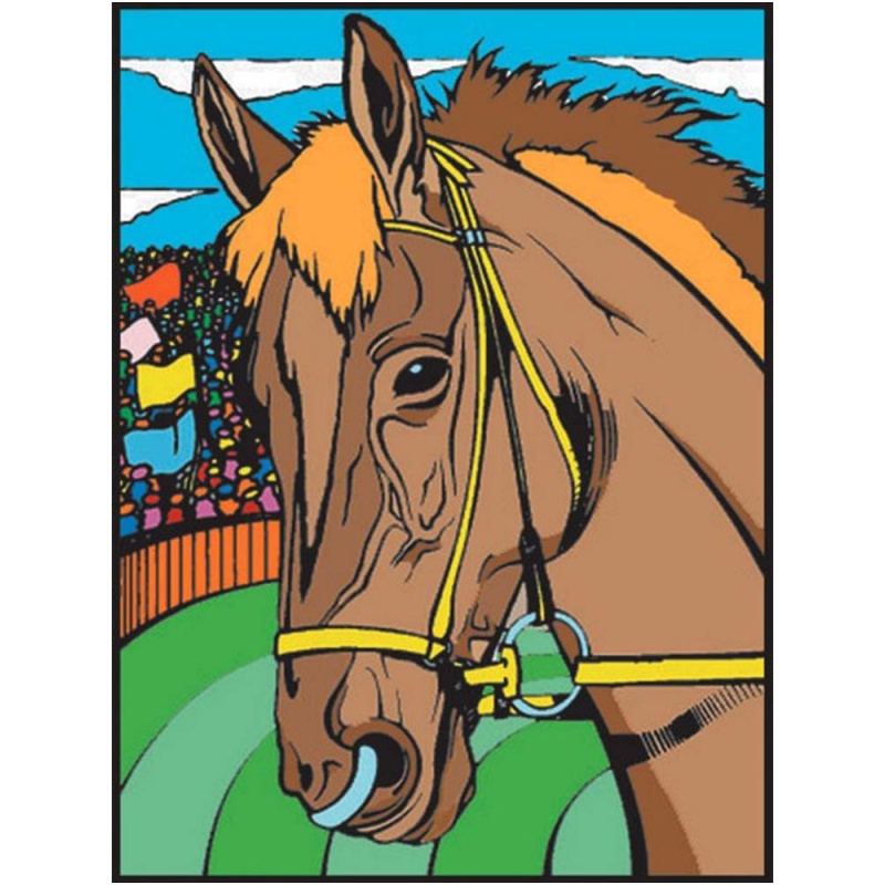 coloriage velours cheval 12 feutres inclus 28 x 37 cm colorvelvet boutique acheter loisirs creatifs