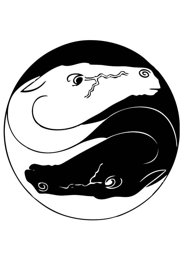 coloriage chevaux ying yang i