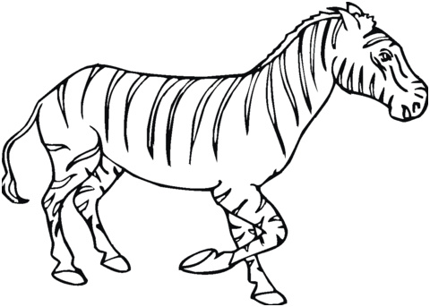 coloriage silhouette zebre