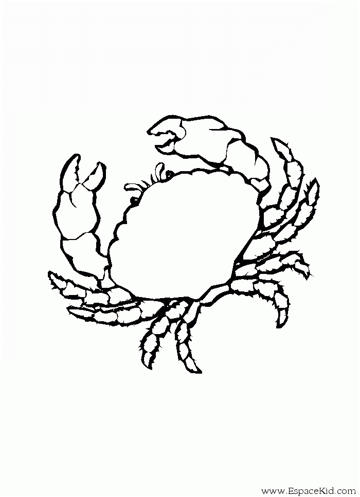 1357 crabe