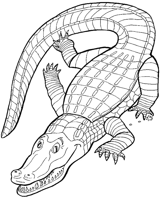 coloriage crocodile 0