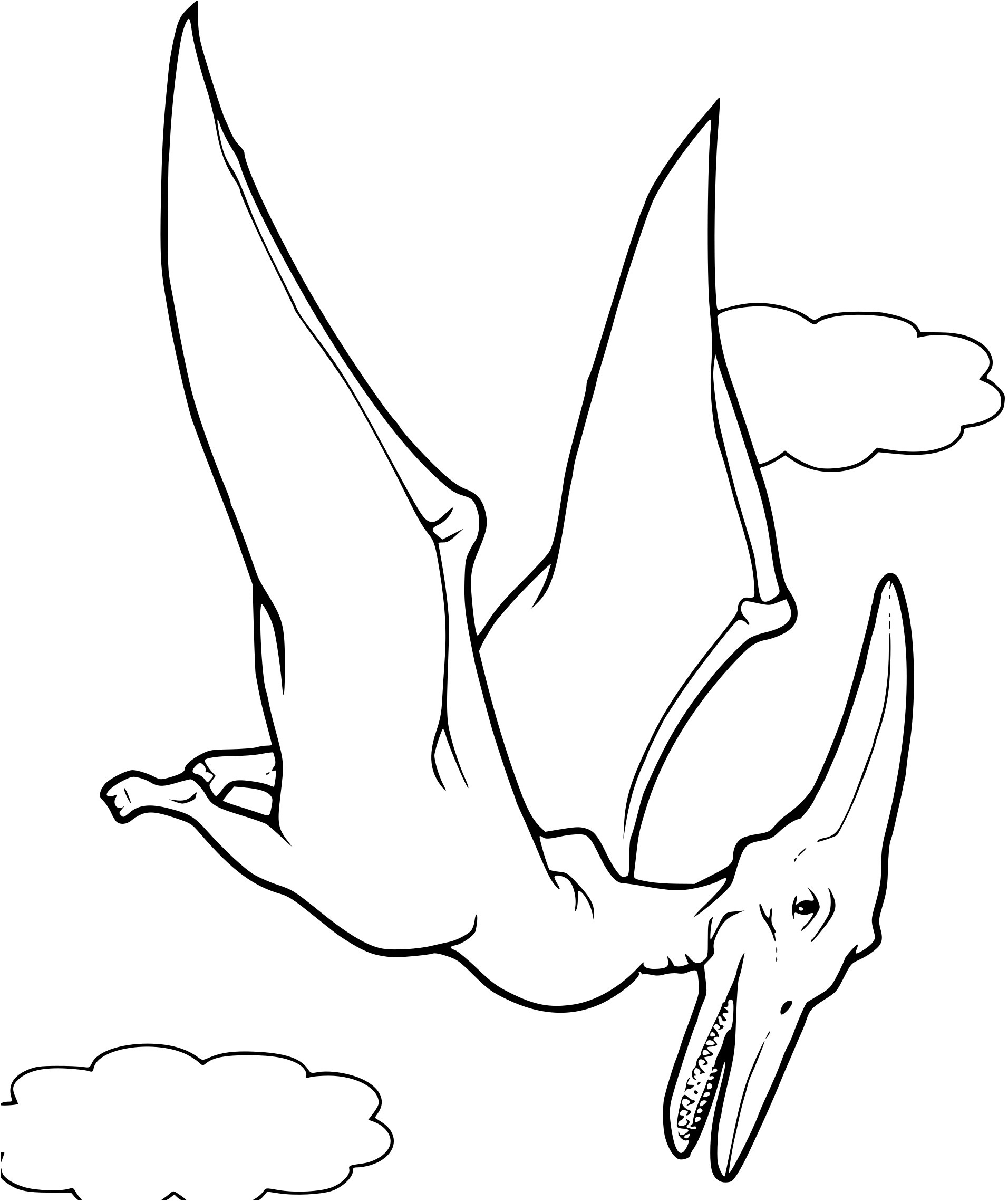 dinosaure volant dessin