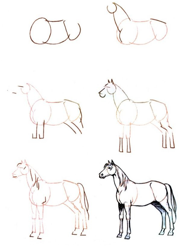 dessin cheval facile