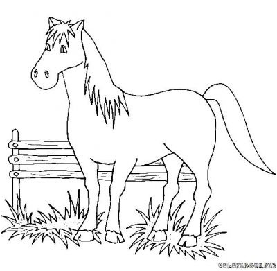 images de dessin de cheval