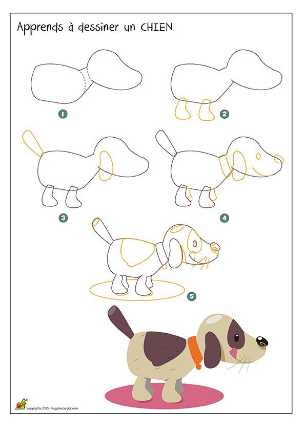 dessin de chien facile op73