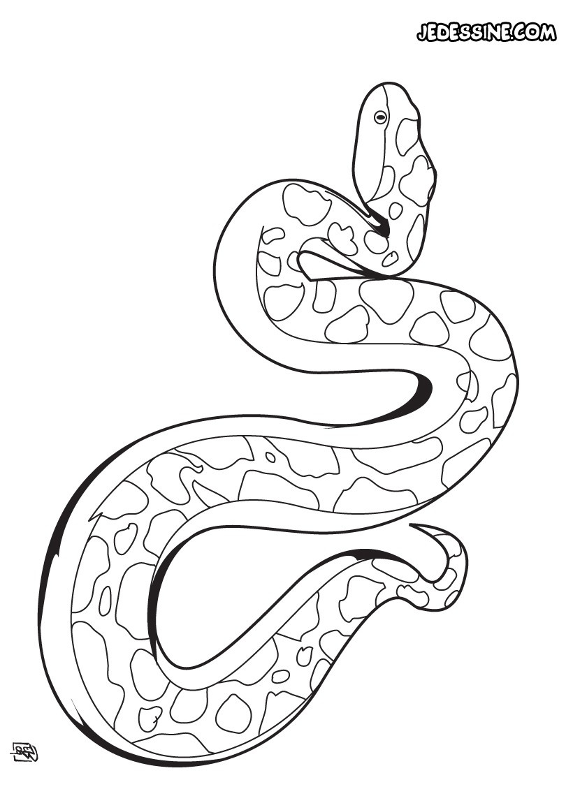 dessin de serpent
