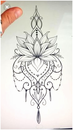 fleur de lotus dessin mandala