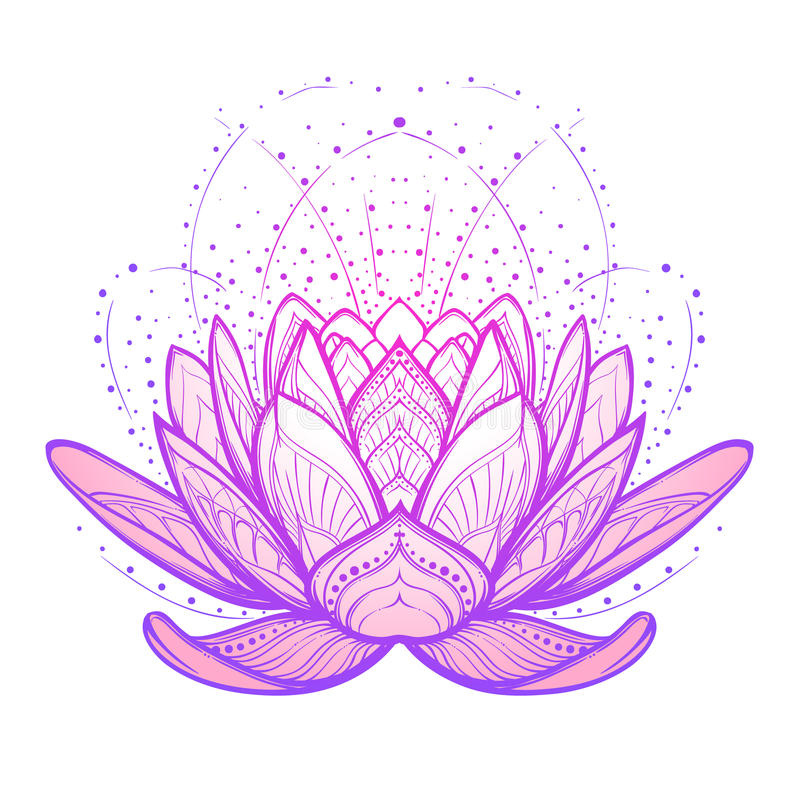 illustration stock fleur de lotus dessin linéaire stylisé plexe sur le fond blanc image