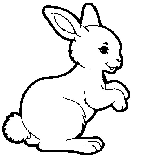 lapin rigolo