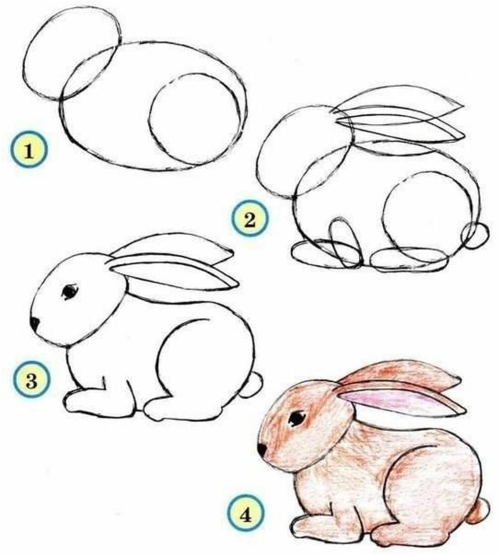 ides de dessin de lapin facile a reproduire galerie dimages