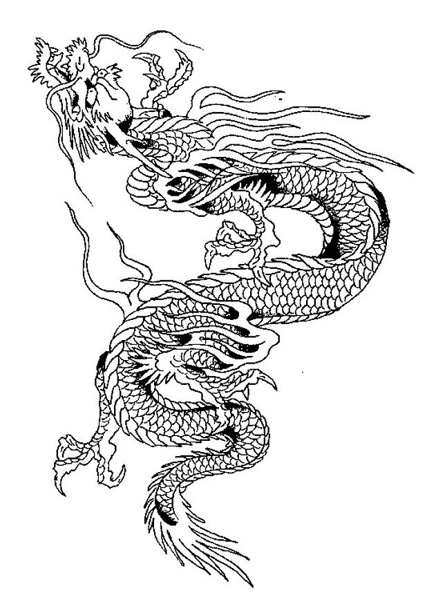 dessin de dragon a imprimer