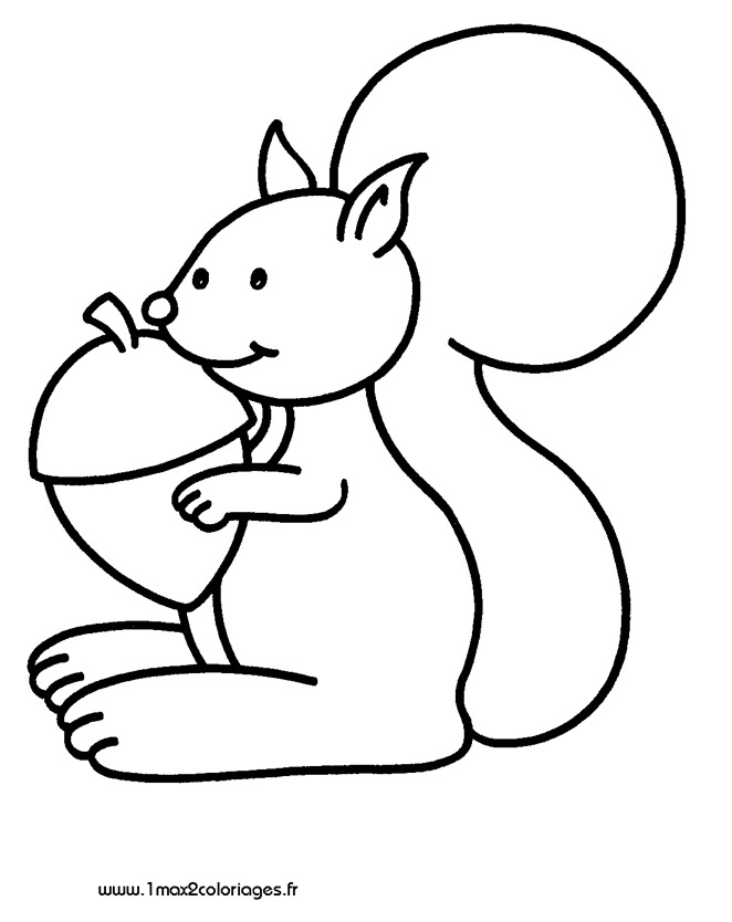 dessiner un ecureuil