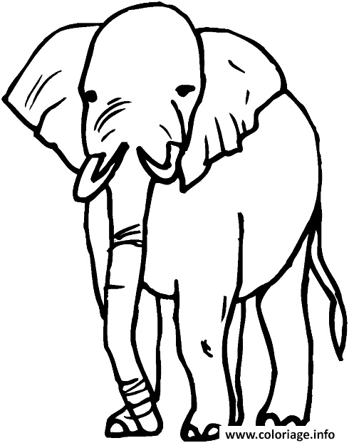 dessin d elephant coloriage dessin
