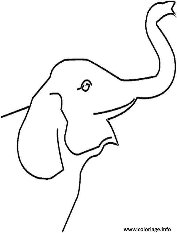 tete d elephant avec sa trompe coloriage