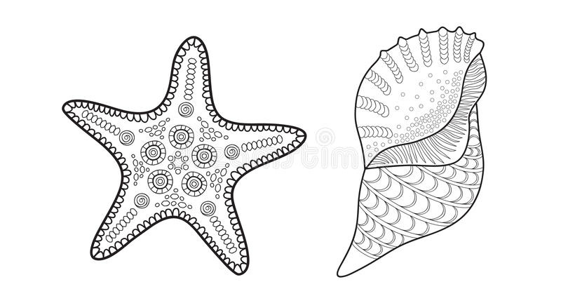 illustration stock étoile de mer et coquille illustration de vecteur pour livre de coloriage adulte image